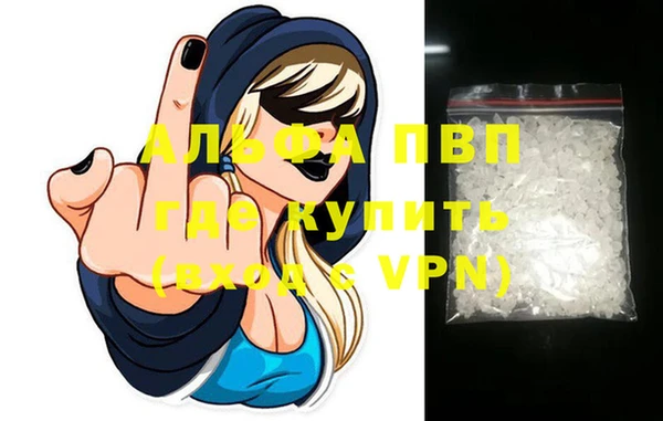 гашик Вязьма
