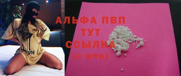 гашик Вязьма