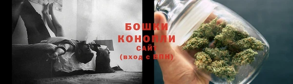 эйфоретик Вяземский