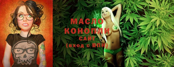 эйфоретик Вяземский