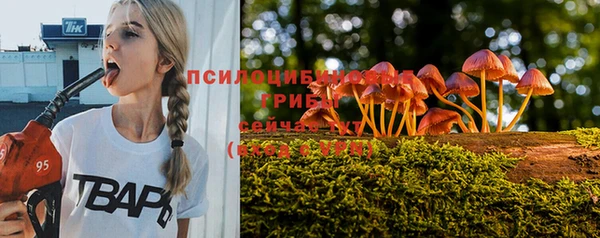 СК Вязники