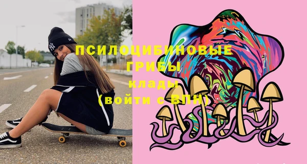 СК Вязники