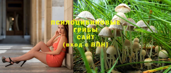 гашик Вязьма