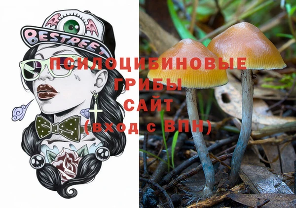 гашик Вязьма