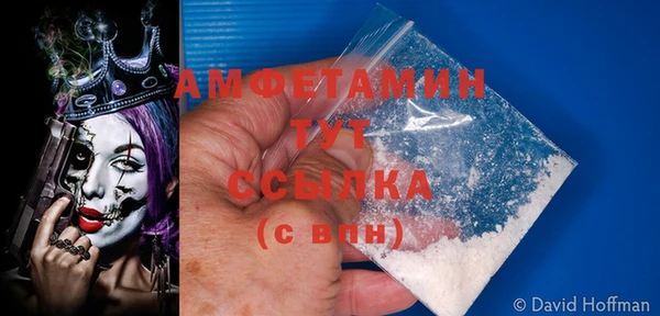 гашик Вязьма