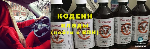 эйфоретик Вяземский