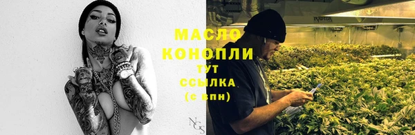 эйфоретик Вяземский